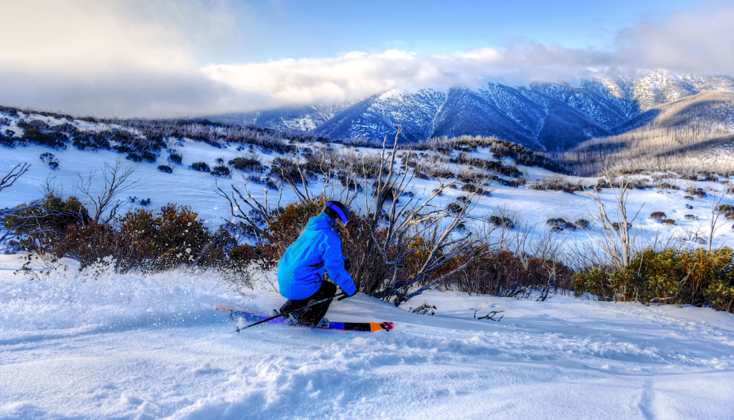 Home Yogi's Ski & Snowboard Hire