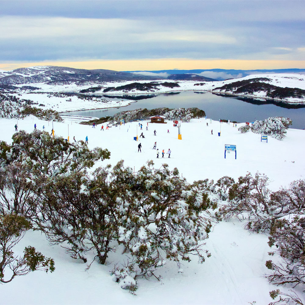 Adult Jacket and Pants Yogi's Ski & Snowboard Hire